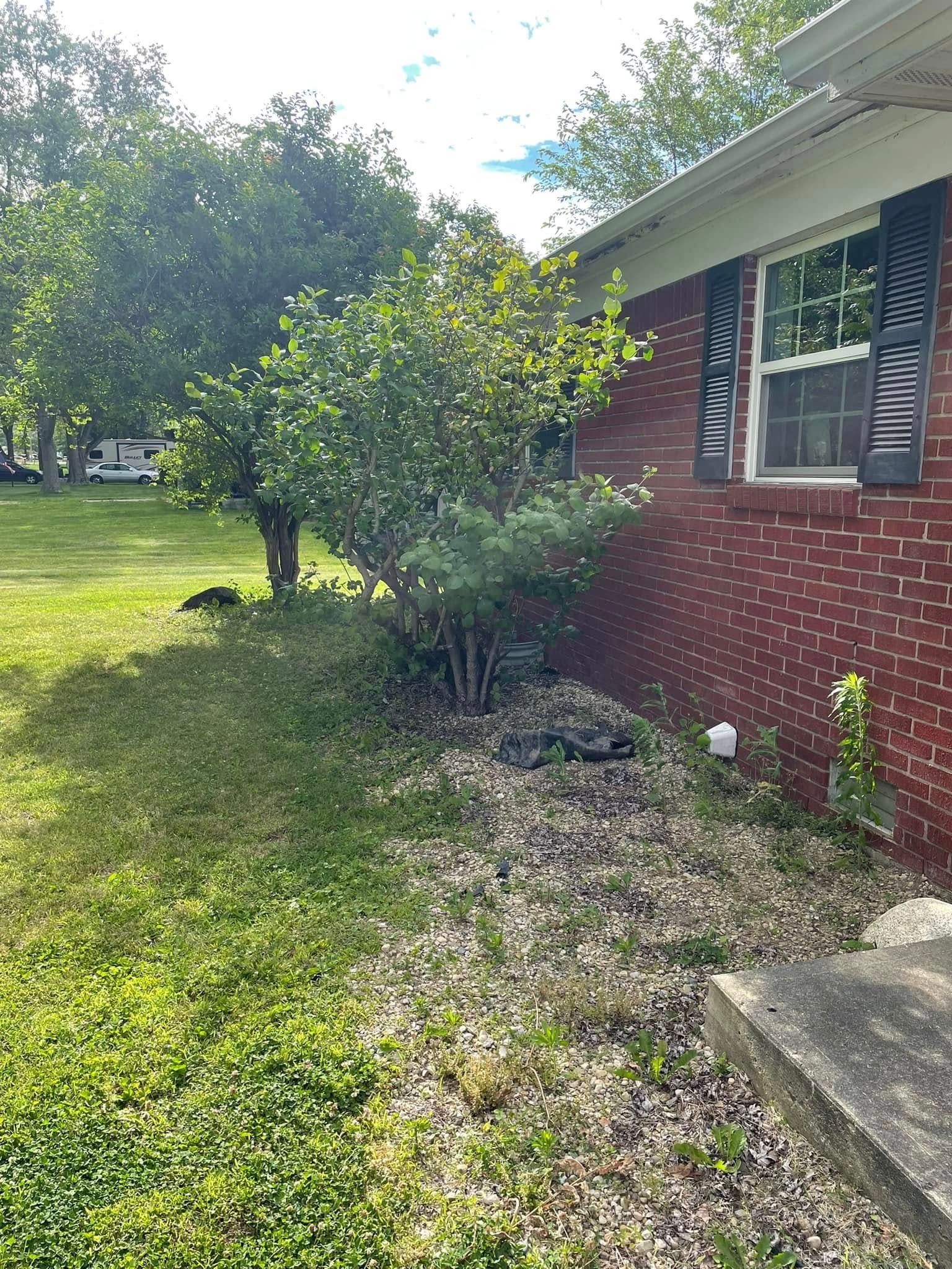 A brick house with a lush green yard and a tree in front of it.