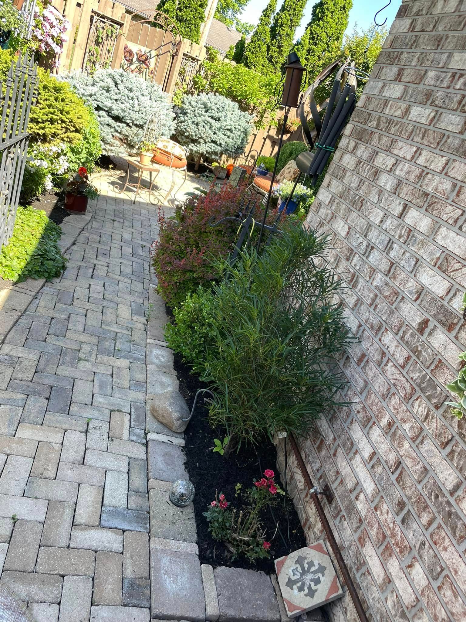 A brick walkway with plants growing on the side of a brick building.
