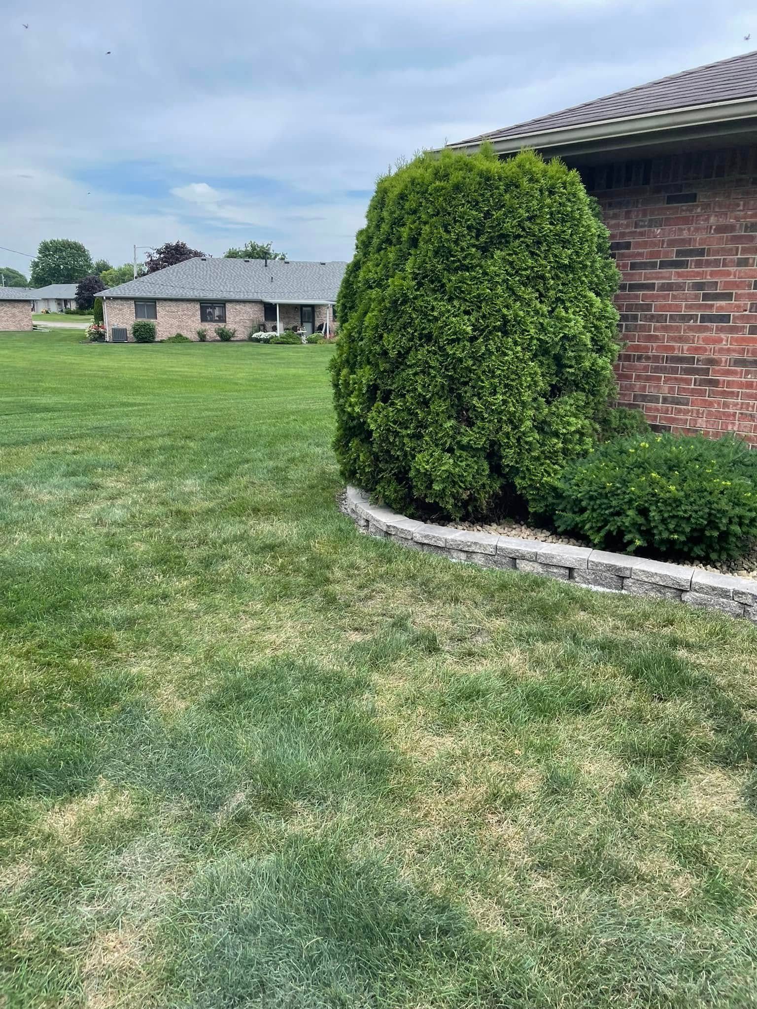 A lush green lawn with a brick house in the background.