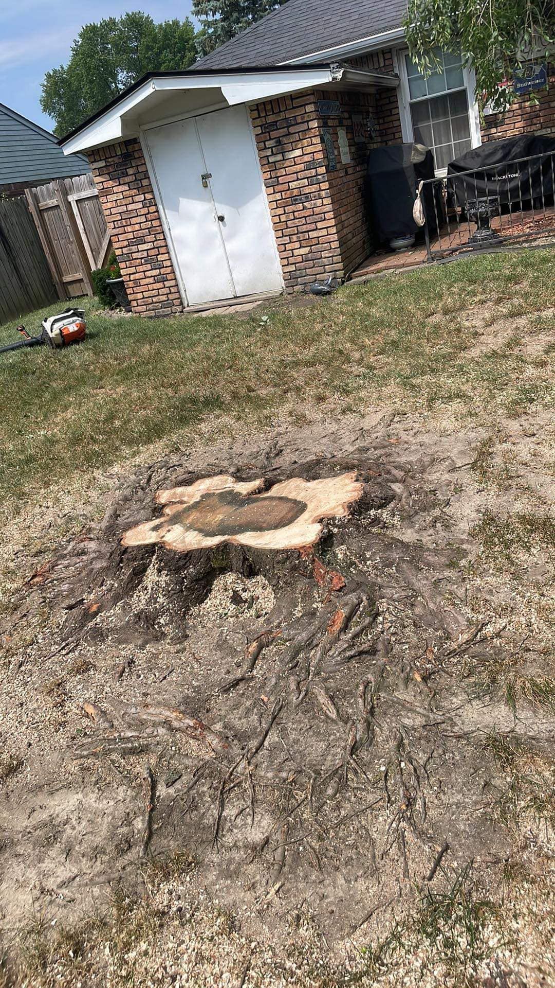 A tree stump in the middle of a yard in front of a house.