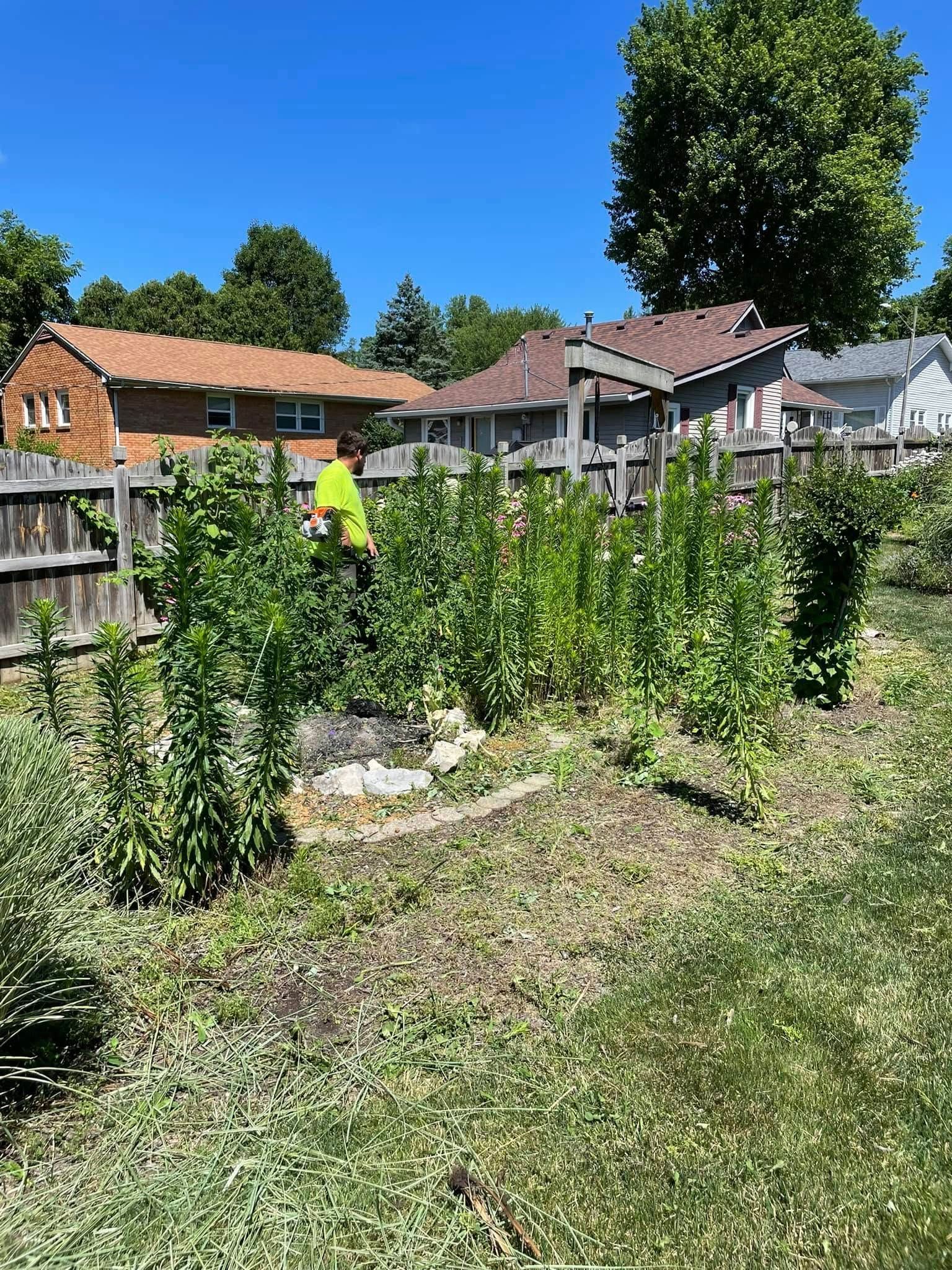 A man is mowing a lush green yard with a fence in the background.