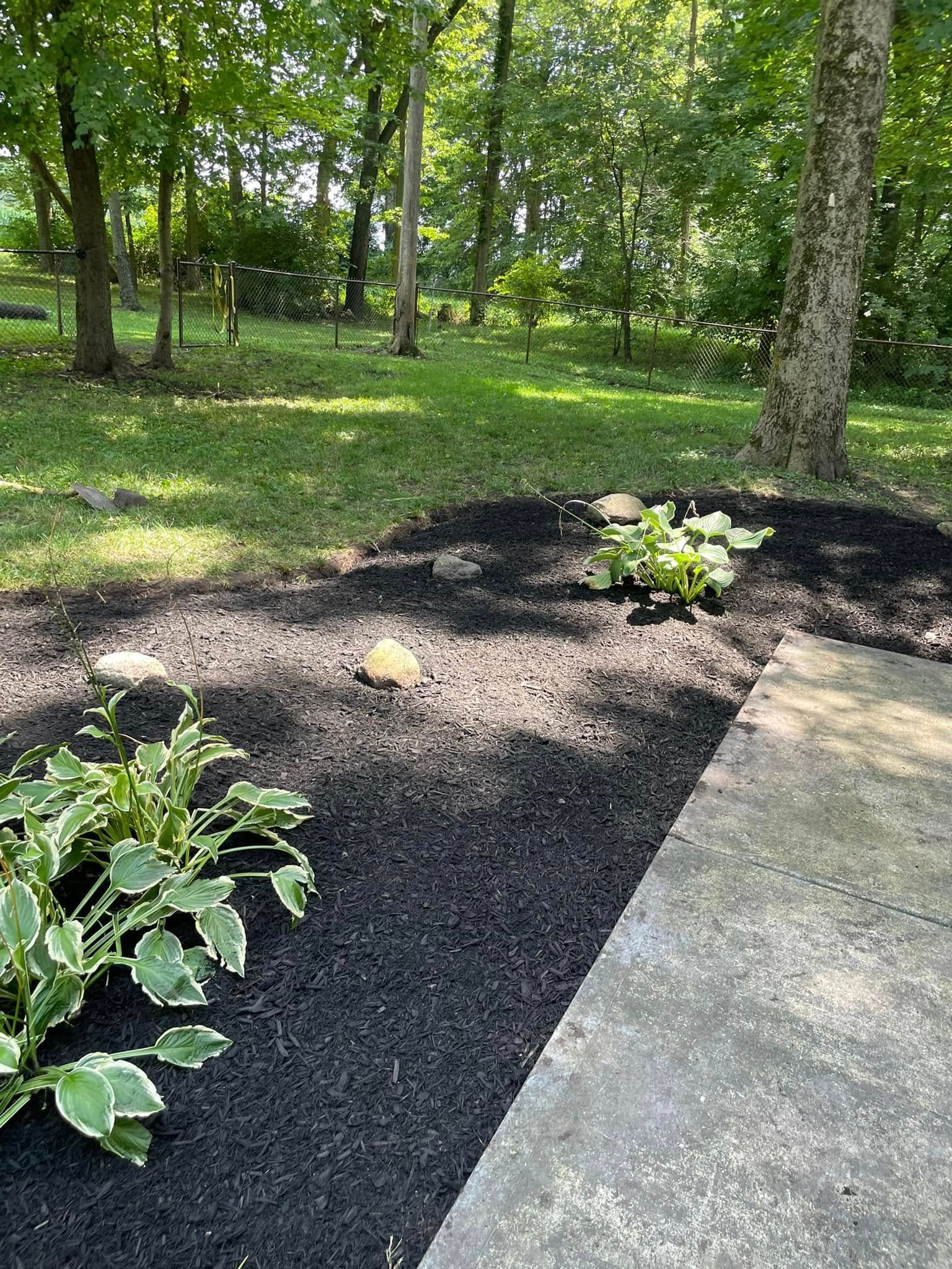 A concrete walkway leading to a backyard filled with lots of plants and trees.