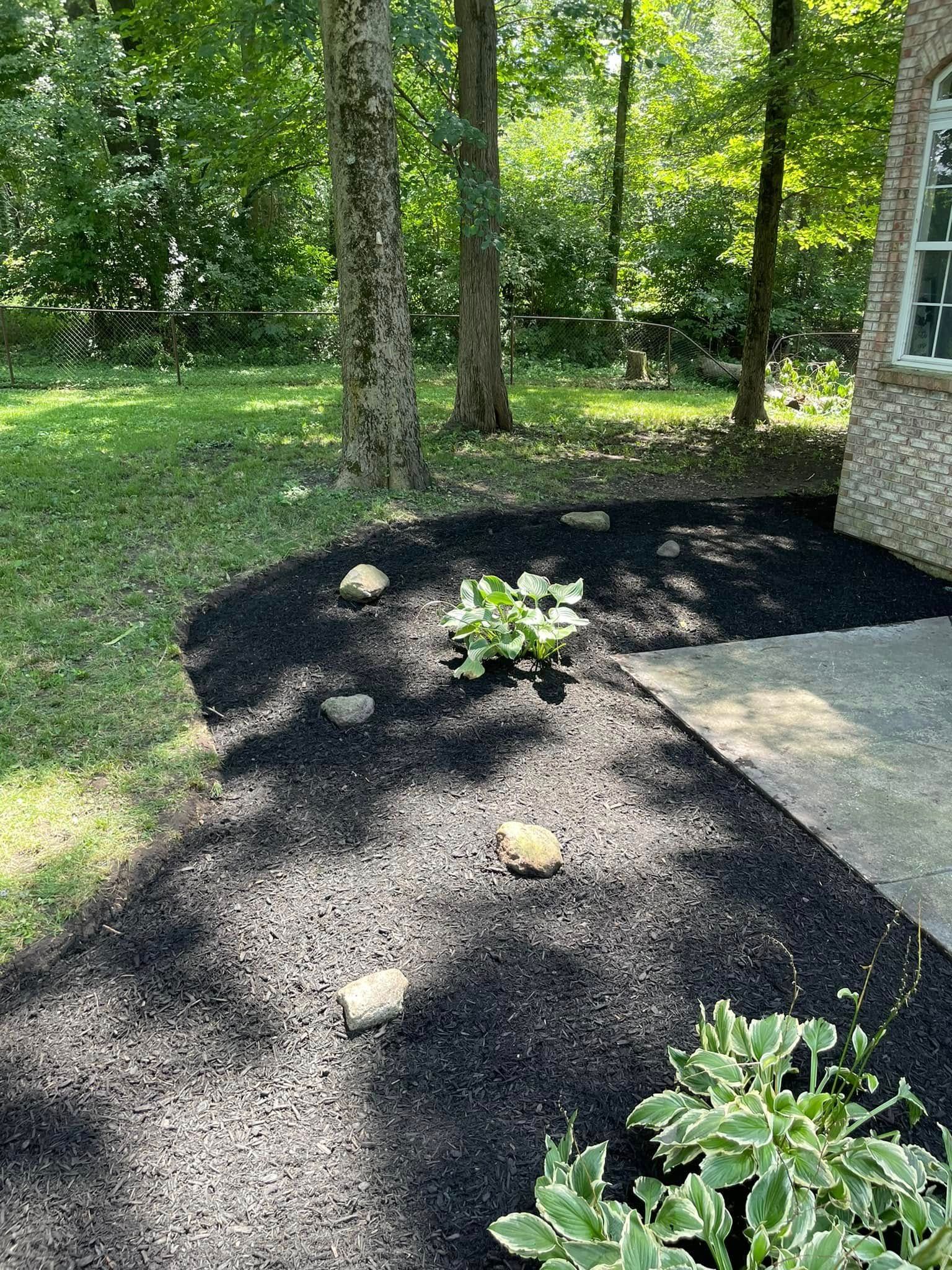 A yard with a lot of black mulch and trees in the background.