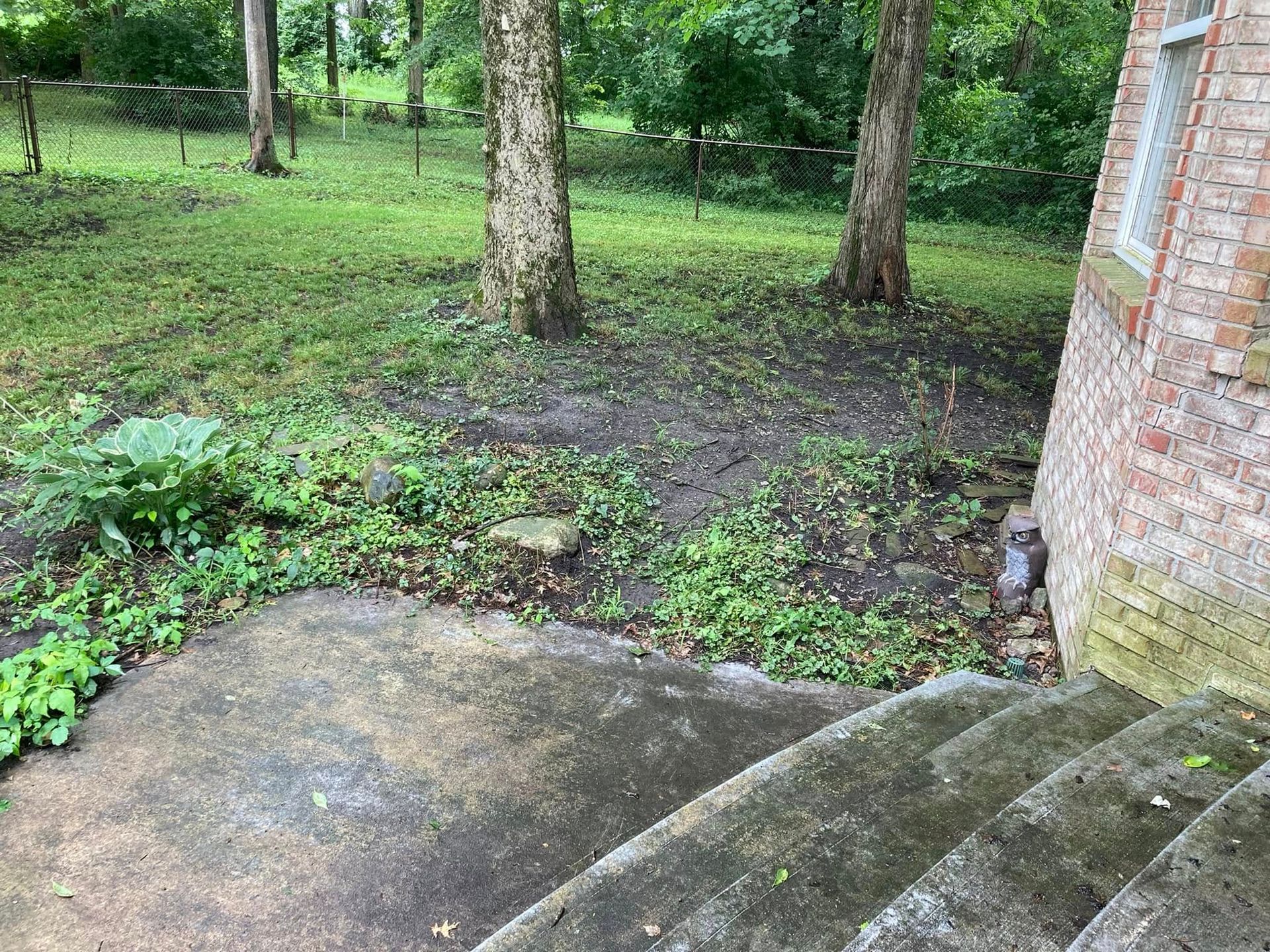 There are stairs leading up to a brick building in the backyard.