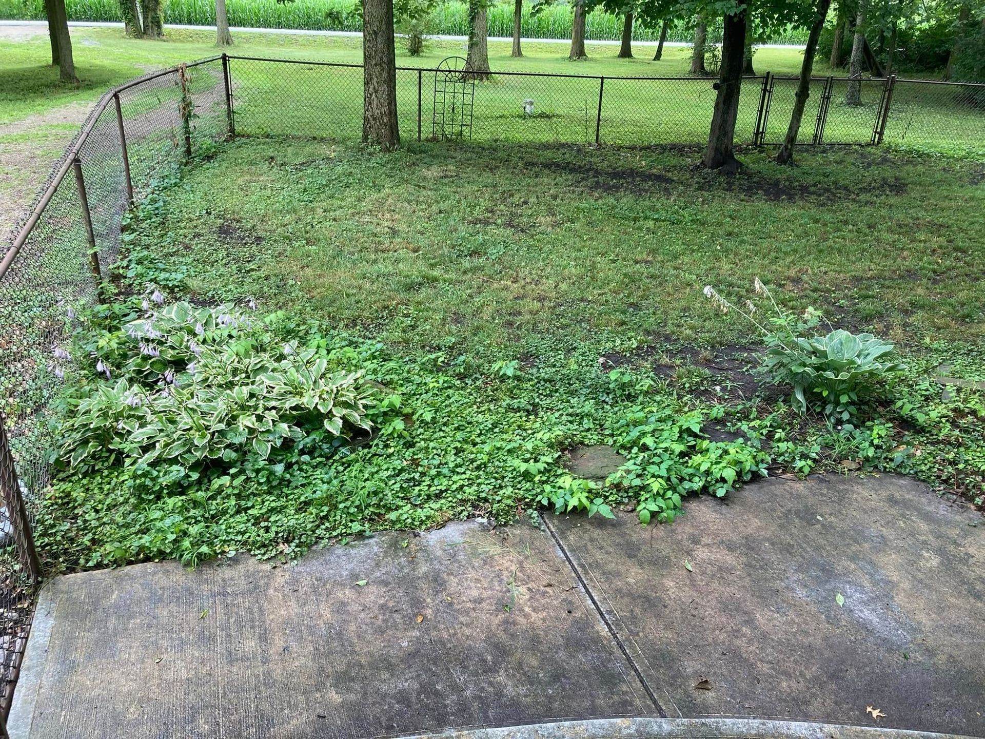 A backyard with a fence and a concrete walkway surrounded by grass and trees.