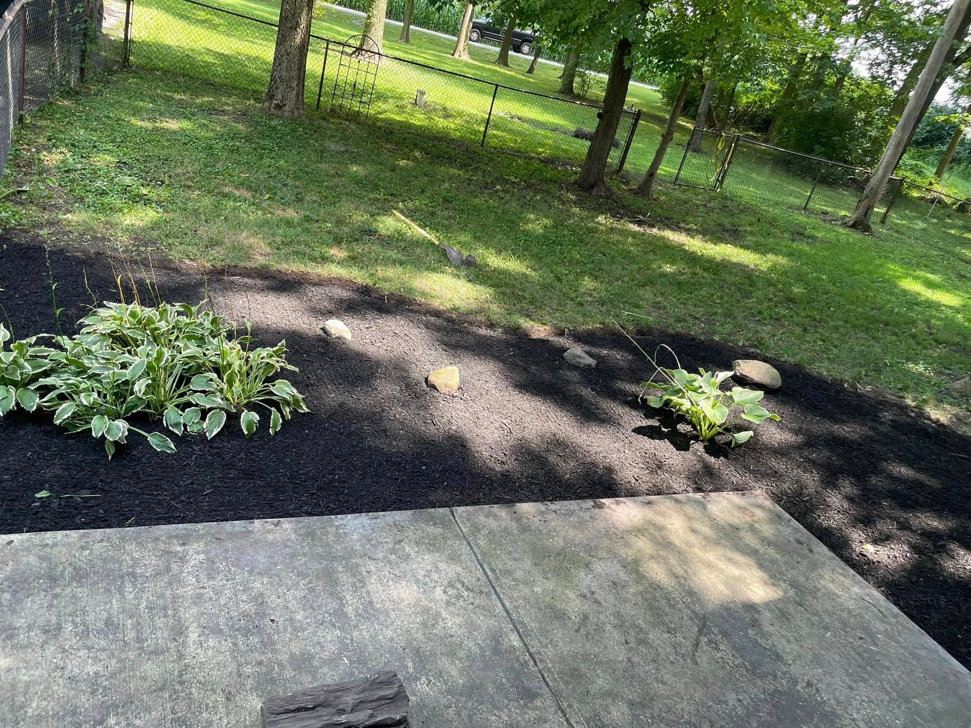 A backyard with a concrete walkway and a lot of plants and trees.