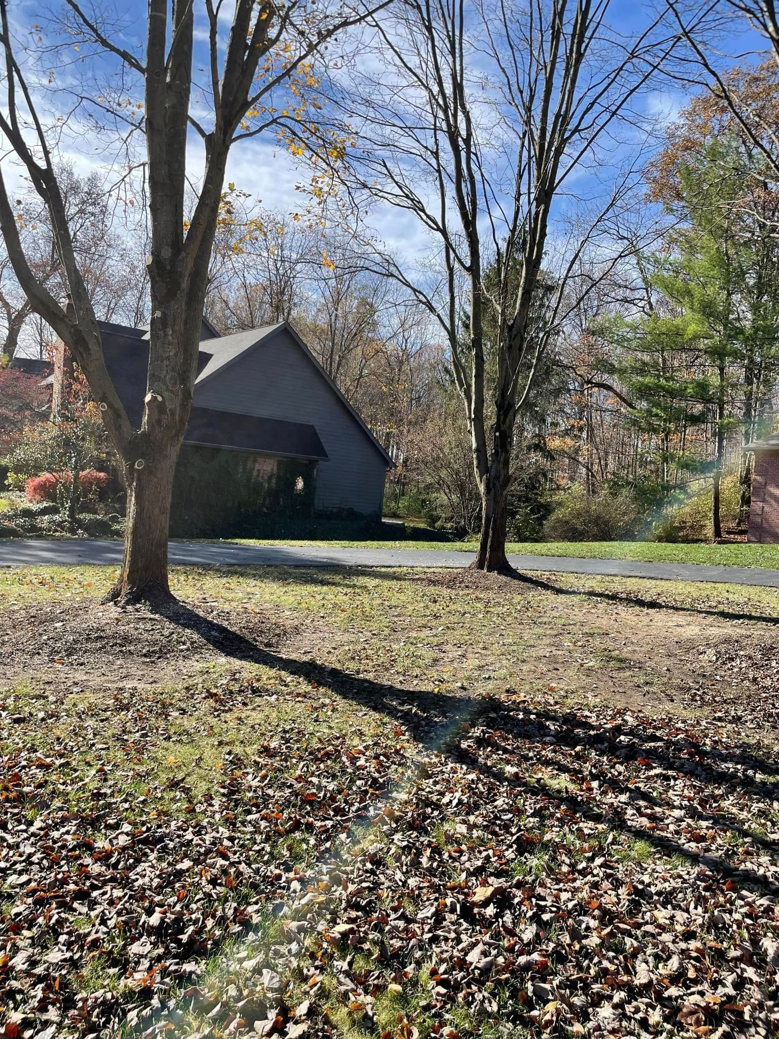 There is a house in the background and a lot of leaves on the ground.