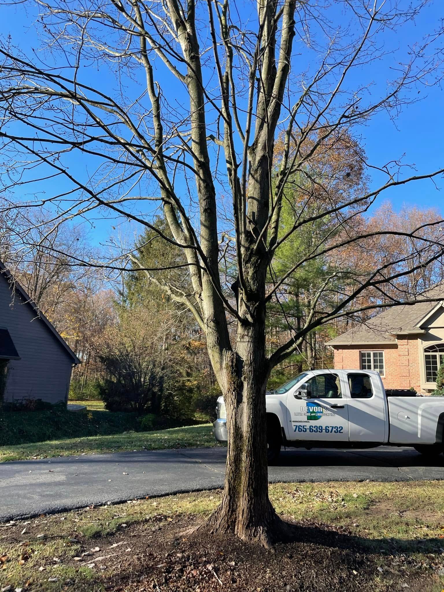 A white truck is parked next to a tree in front of a house.