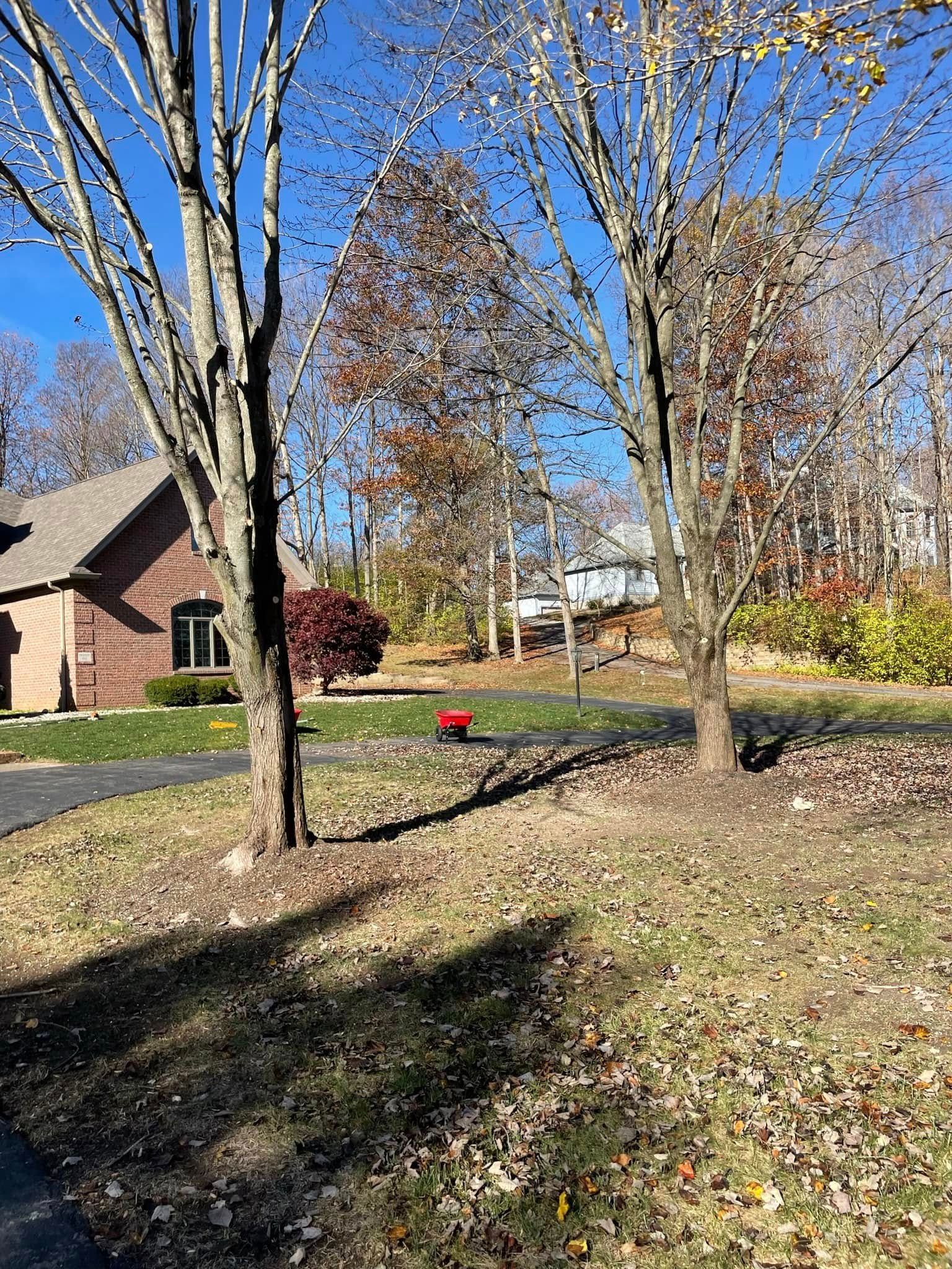 A house with a lot of trees in front of it.