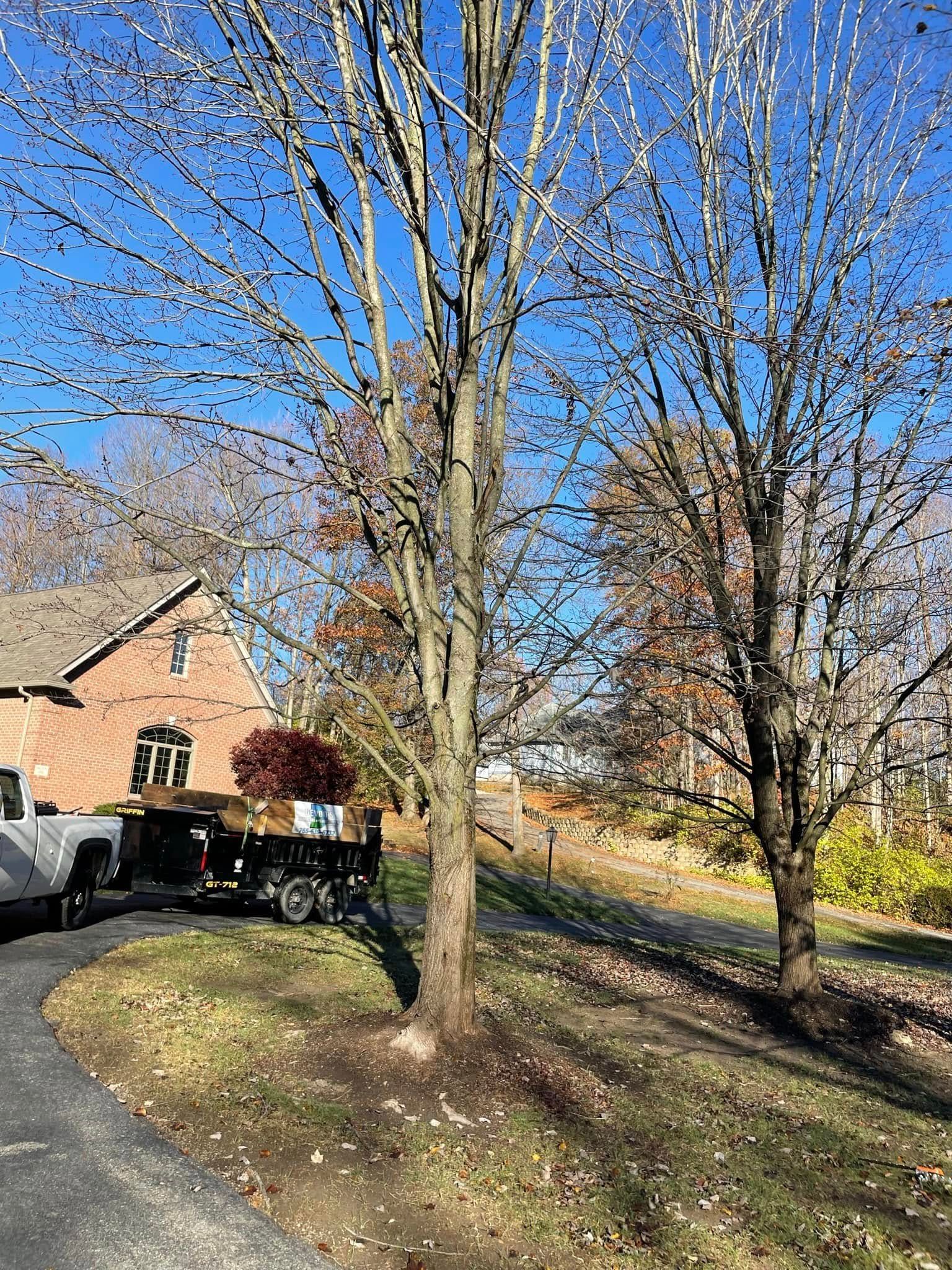 A truck is parked in front of a house next to a tree.