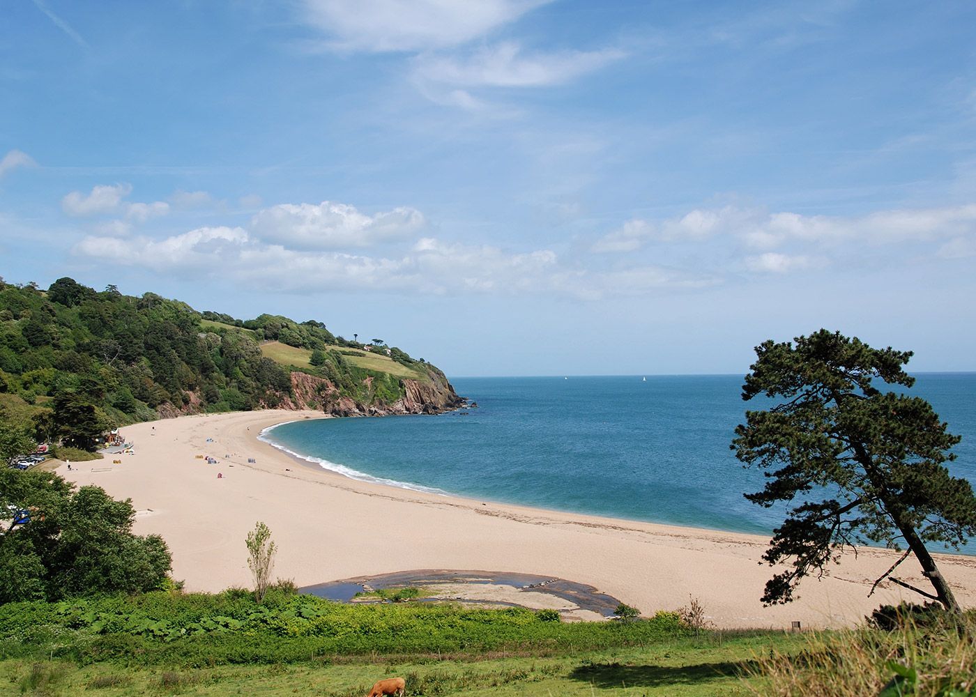 A beach with a tree in the foreground and a large body of water in the background.