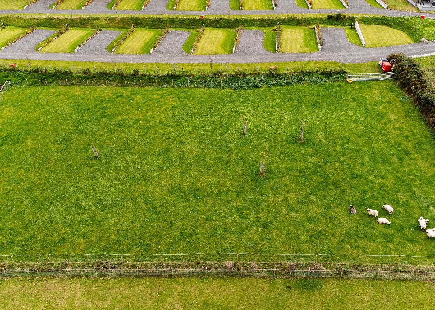 An aerial view of a lush green field with sheep grazing in it.