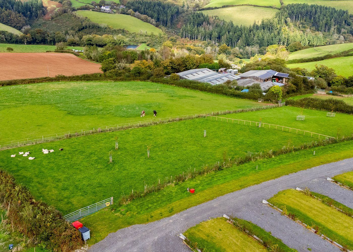An aerial view of a lush green field with a road going through it.