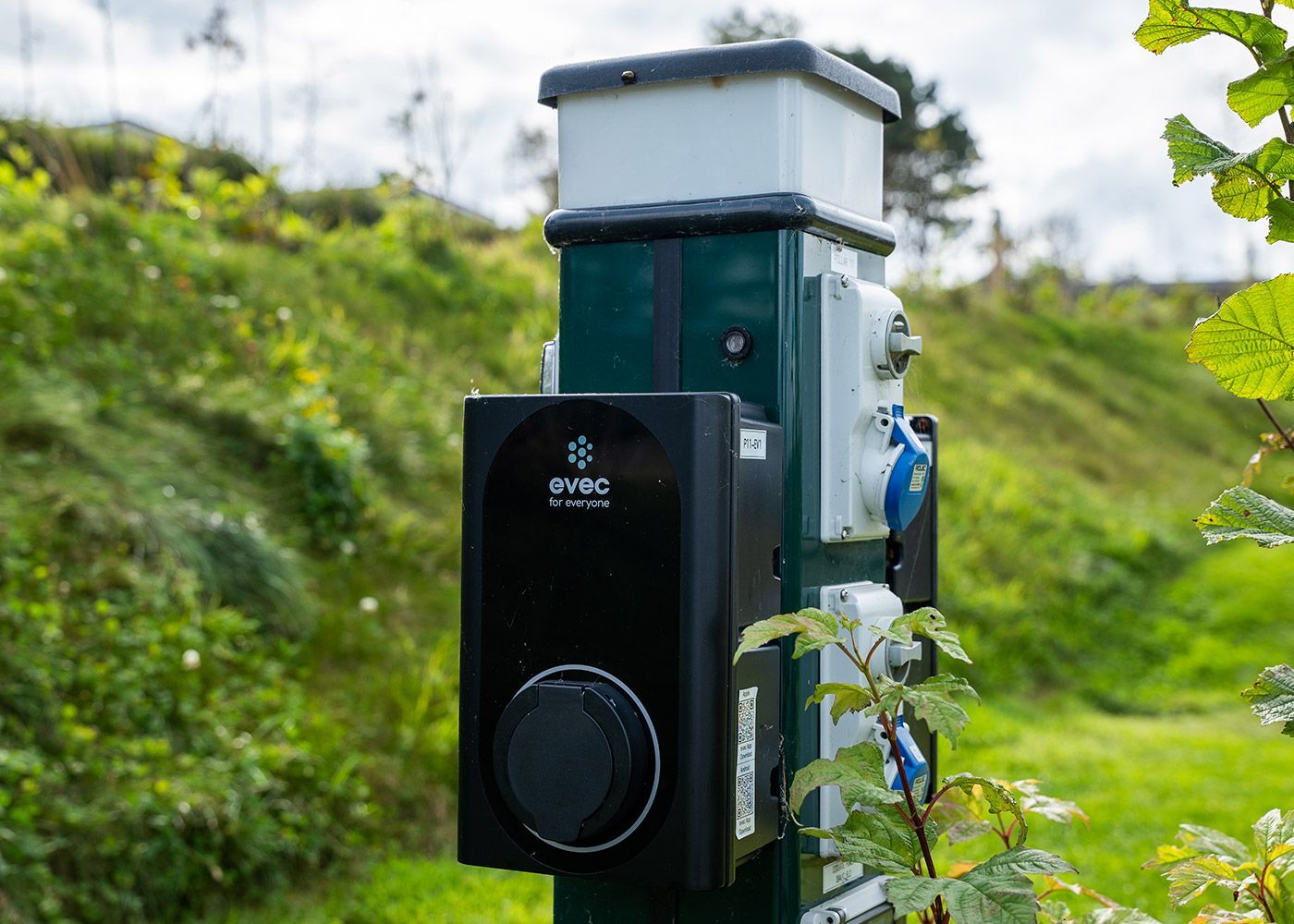 A black device is sitting on top of a green pole.