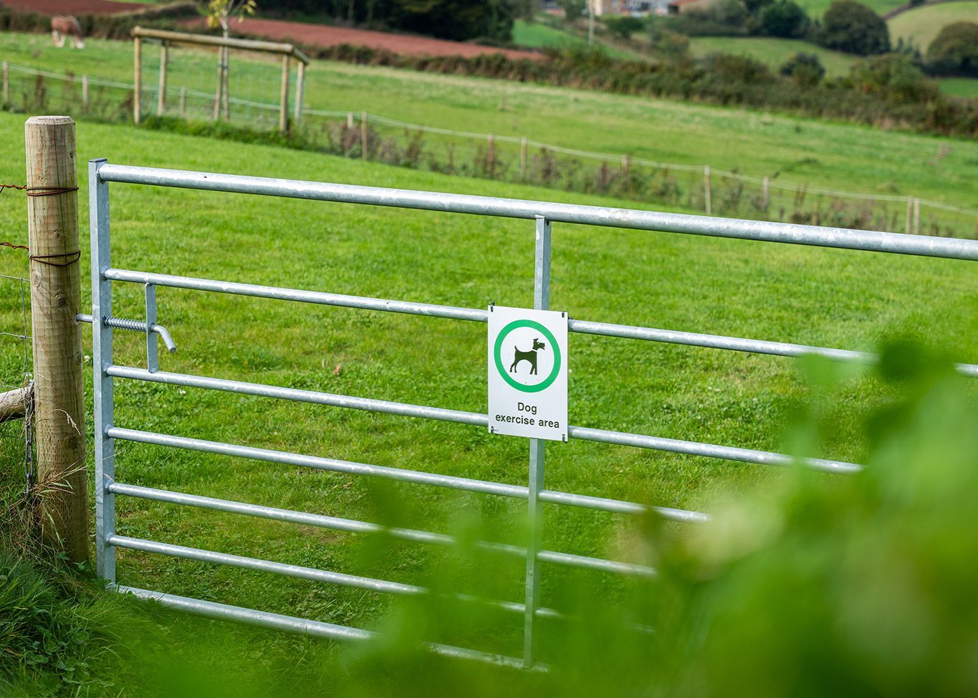 A metal gate with a sign on it that says no dogs allowed.