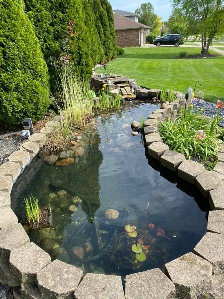 A pond surrounded by rocks and plants in a backyard.