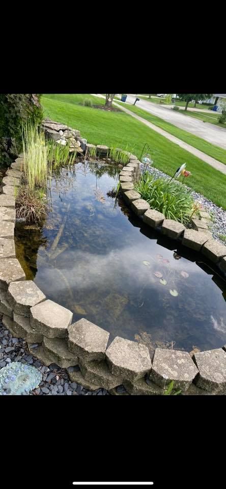 A pond surrounded by rocks and grass in a yard.