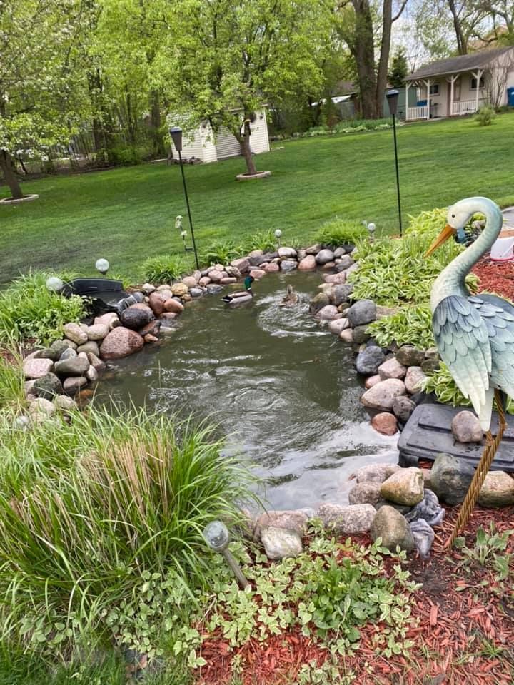 A pond with a bird statue in the middle of it.
