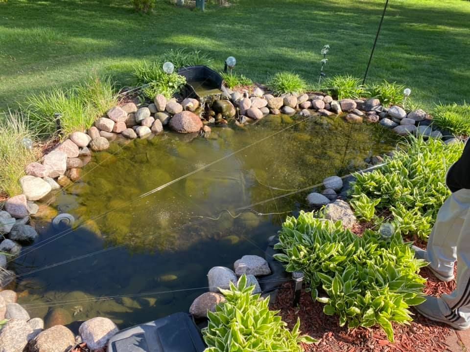 A pond surrounded by rocks and grass in a yard.