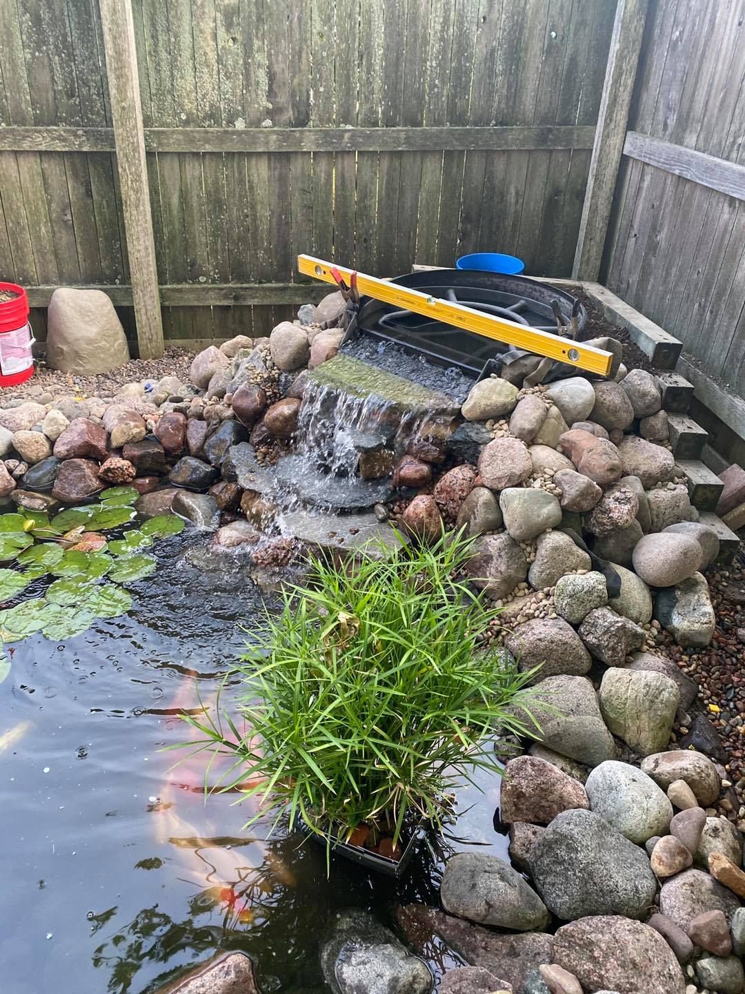 A pond surrounded by rocks and plants with a wooden fence in the background.