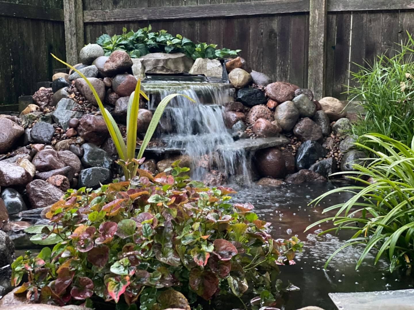 A waterfall is surrounded by rocks and plants in a garden.