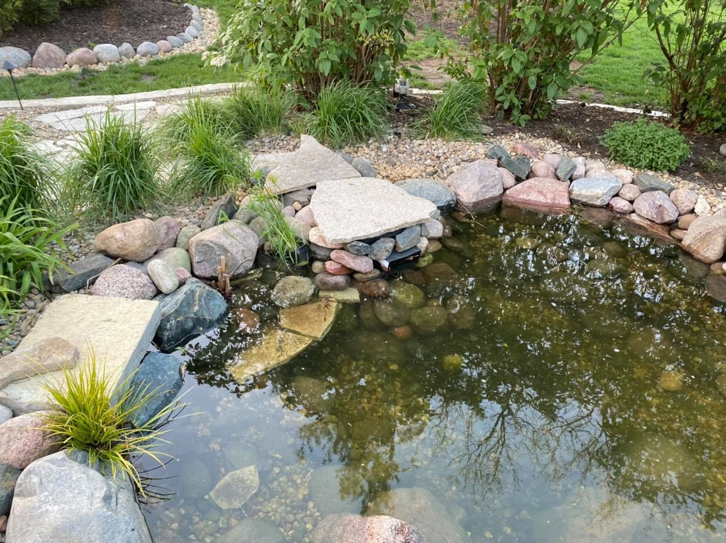 A pond surrounded by rocks and plants in a garden.