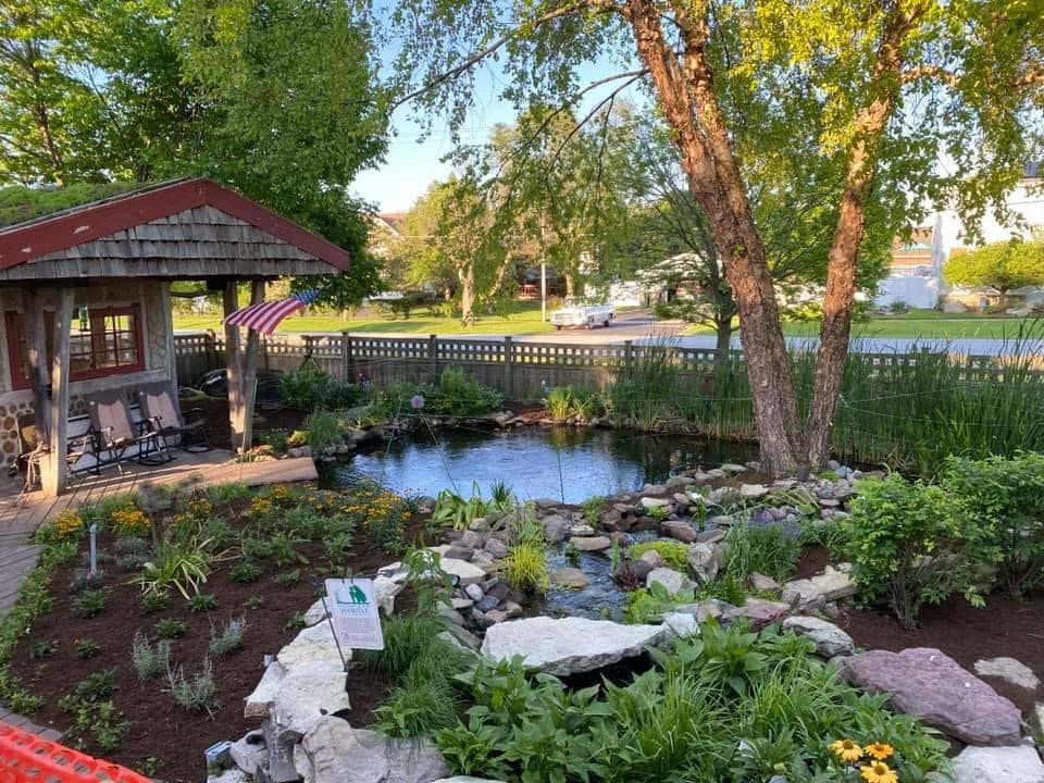 A garden with a pond and a gazebo in the background.