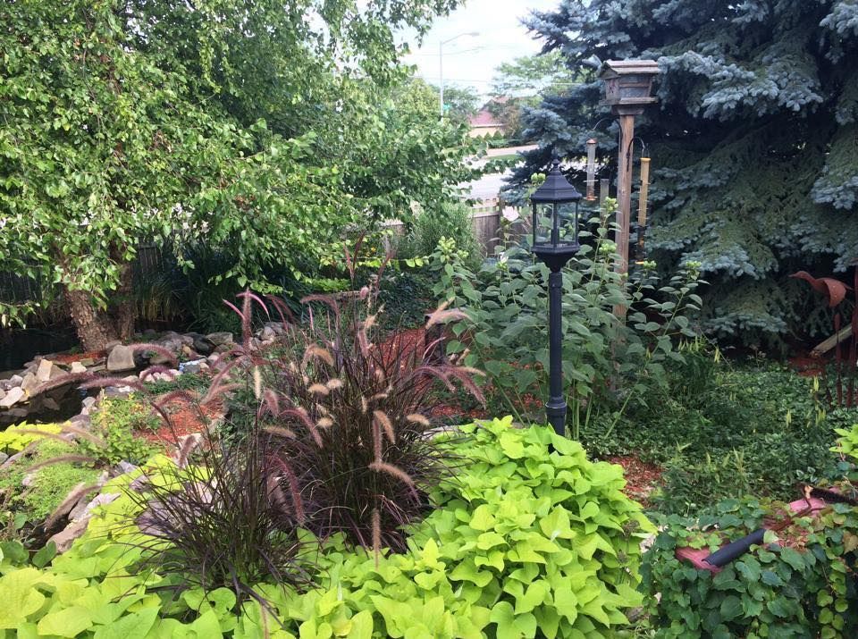 There is a birdhouse in the middle of the garden.