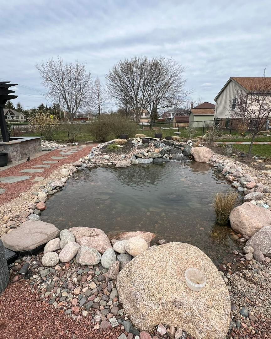 A small, murky pond surrounded by rocks and greenery in a grassy backyard.