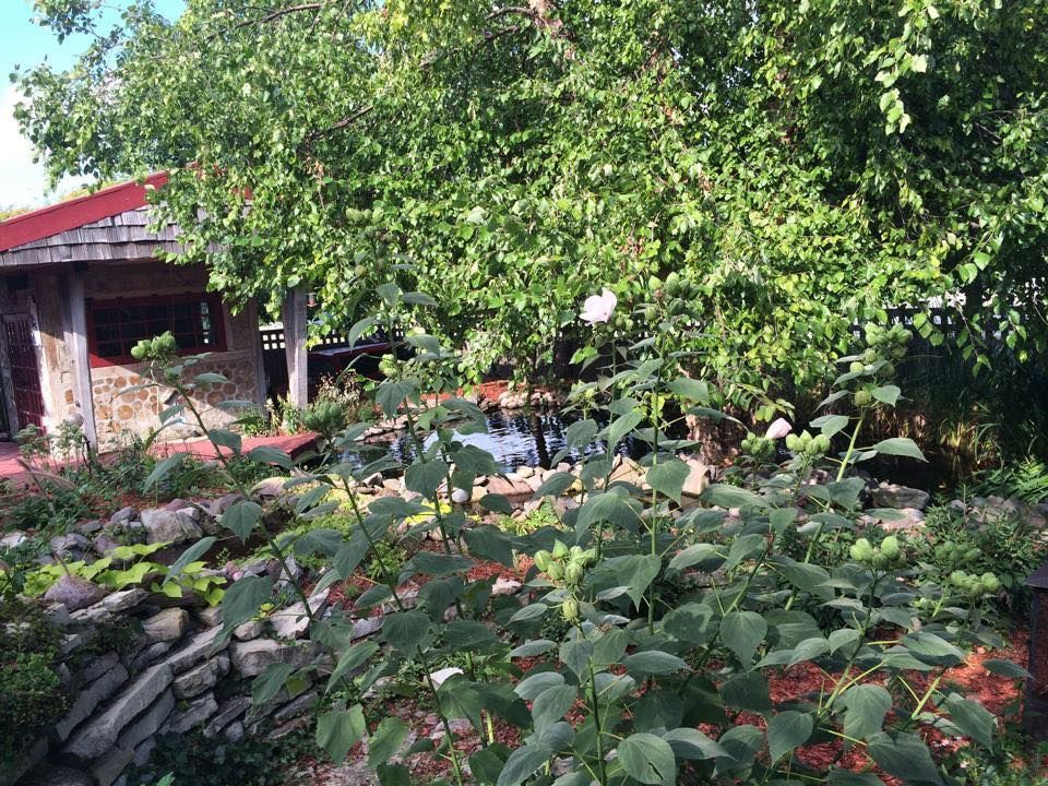 A large house with a lot of windows and a garage on a rainy day.
