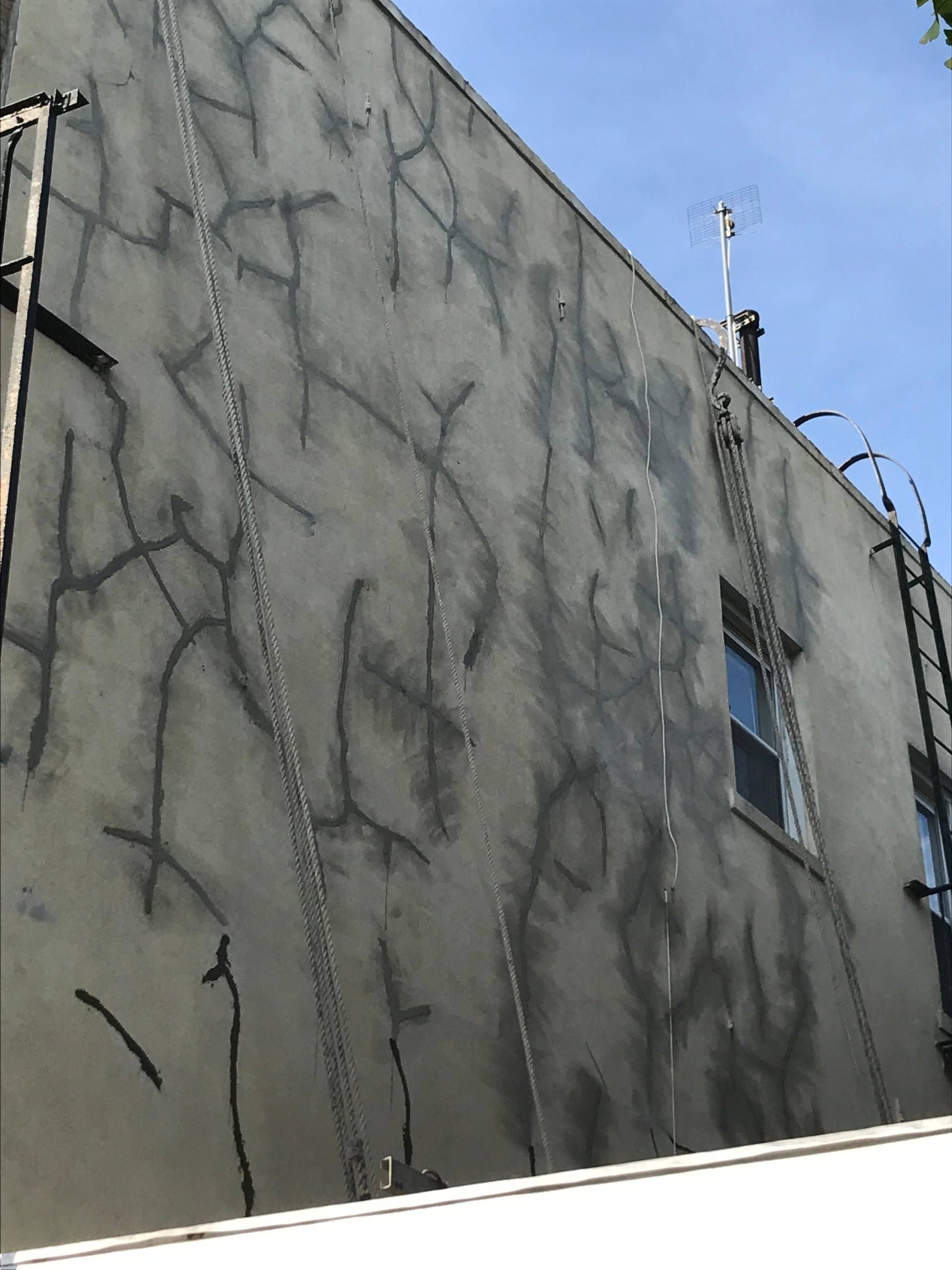 A building with graffiti on it and a ladder on the side