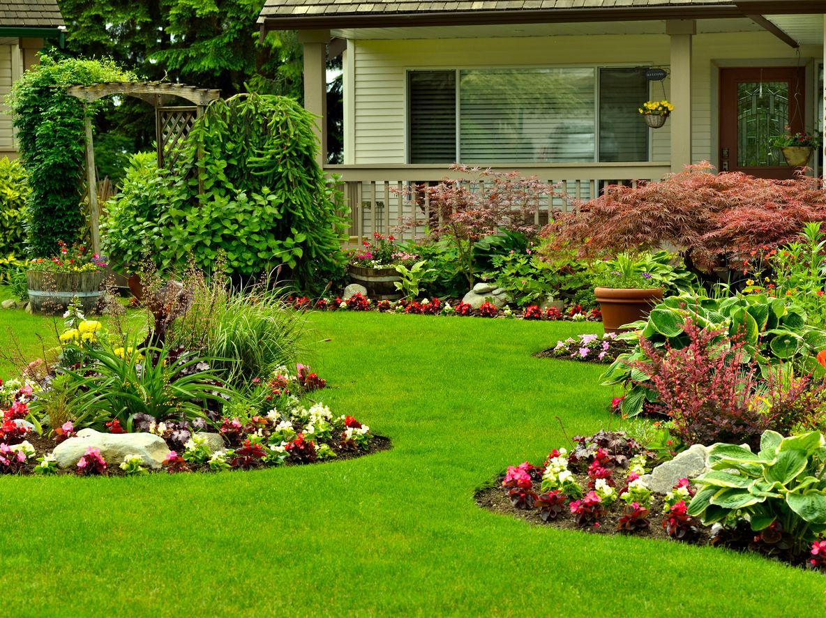 Manicured Yard