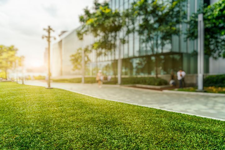 green lawn at daytime