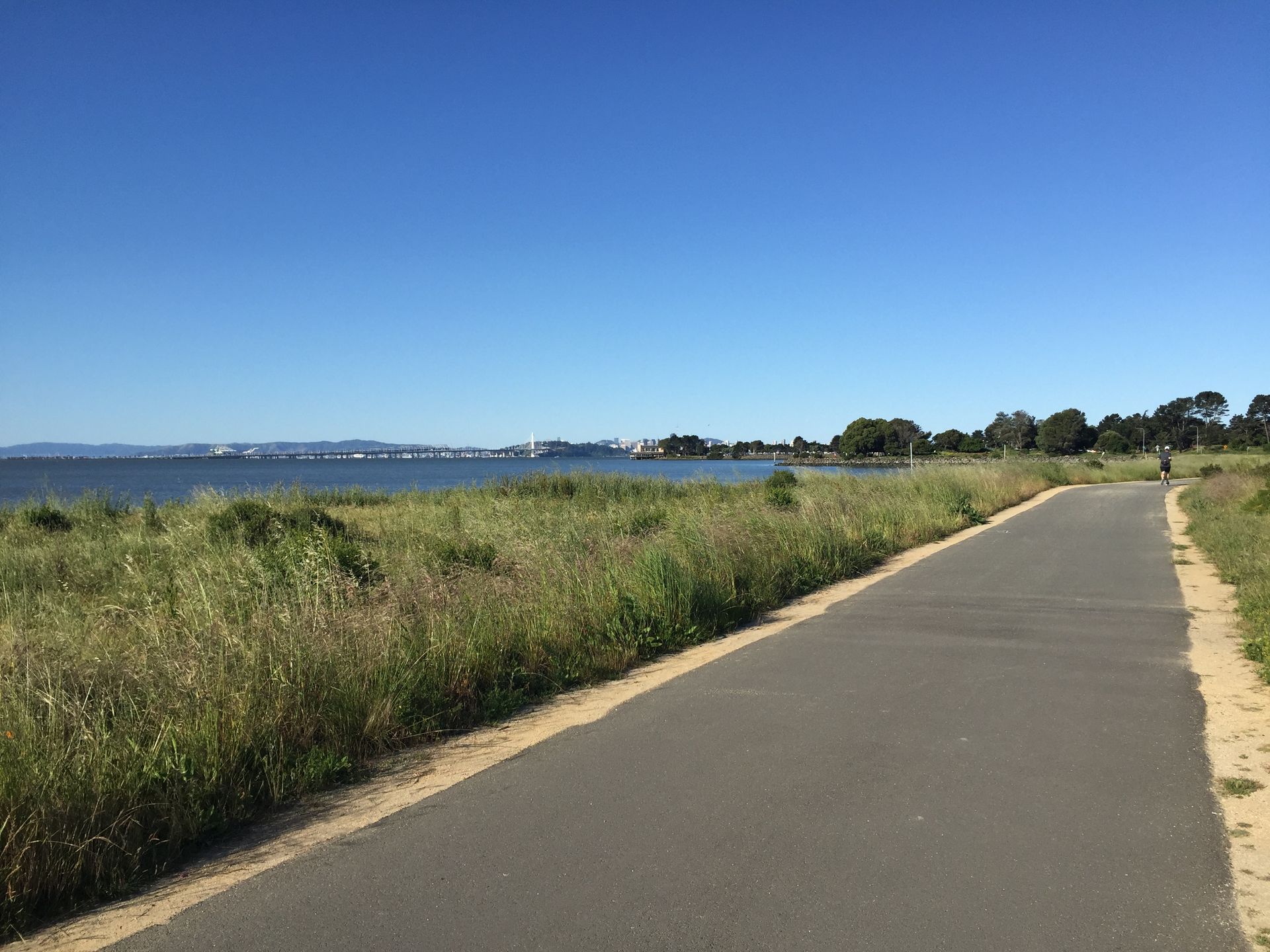 César E. Chávez Park / Dorothy Stegmann Trail