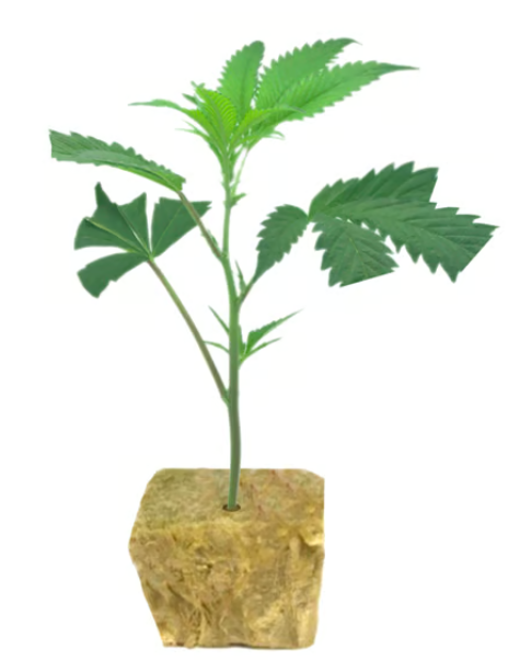 Black vape pen with a cartridge, next to a box containing a cartridge; product packaging: 