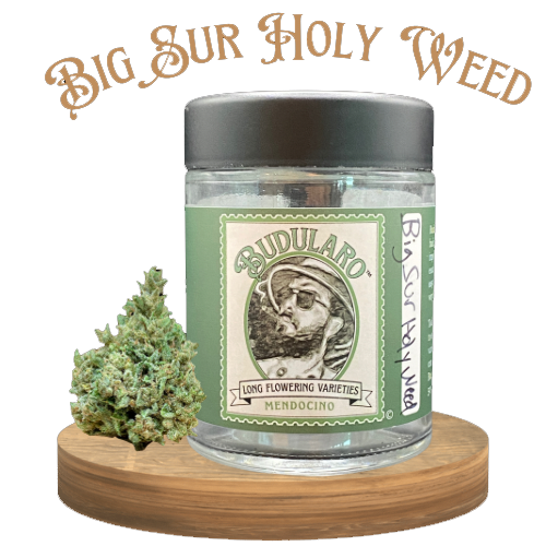 Stiiizy cannabis product packaging, including pods and boxes labeled Indica, Sativa, and Hybrid.