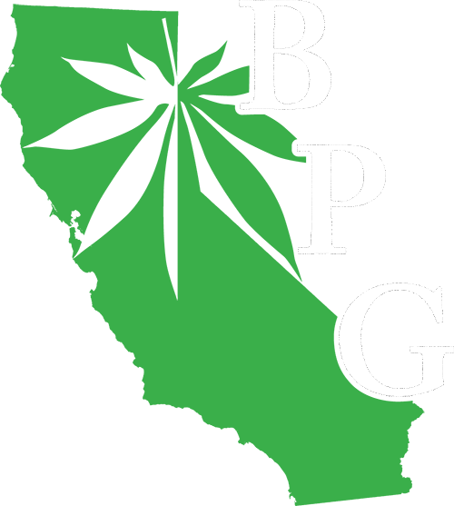best dispensaries wide selection of vapes 2025 Ignite Dispensary main image 1