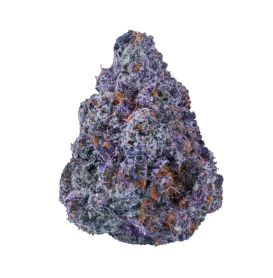 Purple cannabis bud with orange hairs and frosted trichomes.