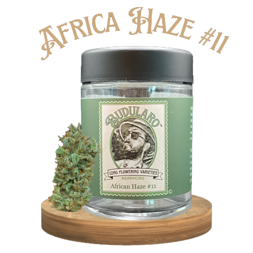 A box and cartridge labeled 