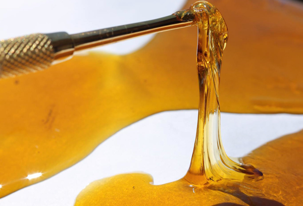 Cannabis Oil