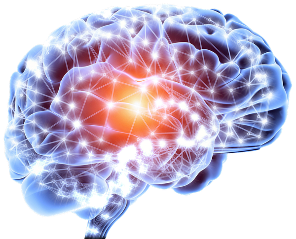 A computer generated image of a brain with a red spot in the middle