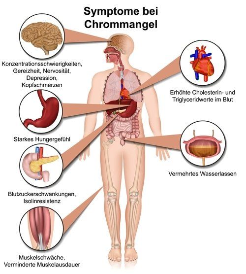 Gesund plus Fit hilft bei Chrom Mangel