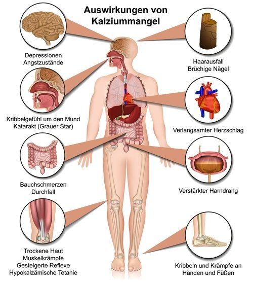 Gesund plus Fit hilft bei Kalzium Mangel