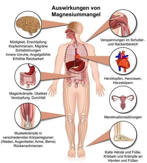 Gesund plus Fit hilft bei Magnesium Mangel