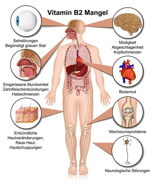 Gesund plus Fit hilft bei Vitamin B2 Mangel