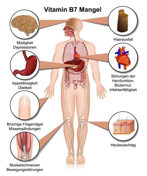 Gesund plus Fit hilft bei Vitamin B7 Mangel