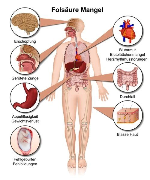 Gesund plus Fit hilft bei Vitamin B9 Mangel