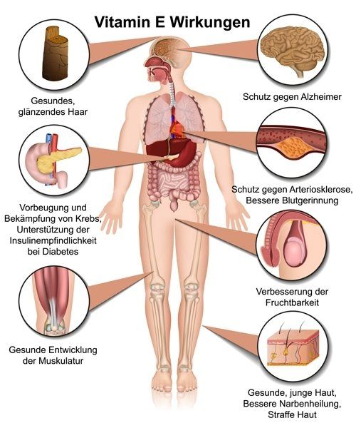 Gesund plus Fit hilft bei Vitamin E Mangel