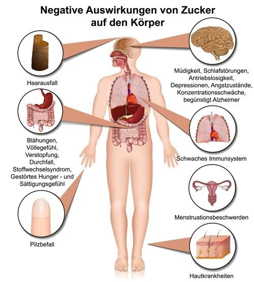 Gesund plus Fit hilft beim Zucker einsparen