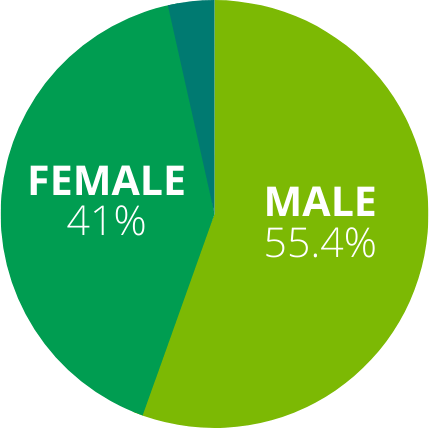 A pie chart showing the percentage of female and male